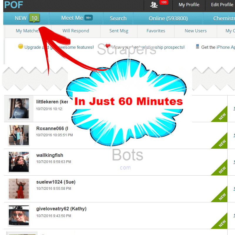 POF Auto Message Sender software gets five new Plenty Of Fish messages (10 responses in all) after sixty min. total.