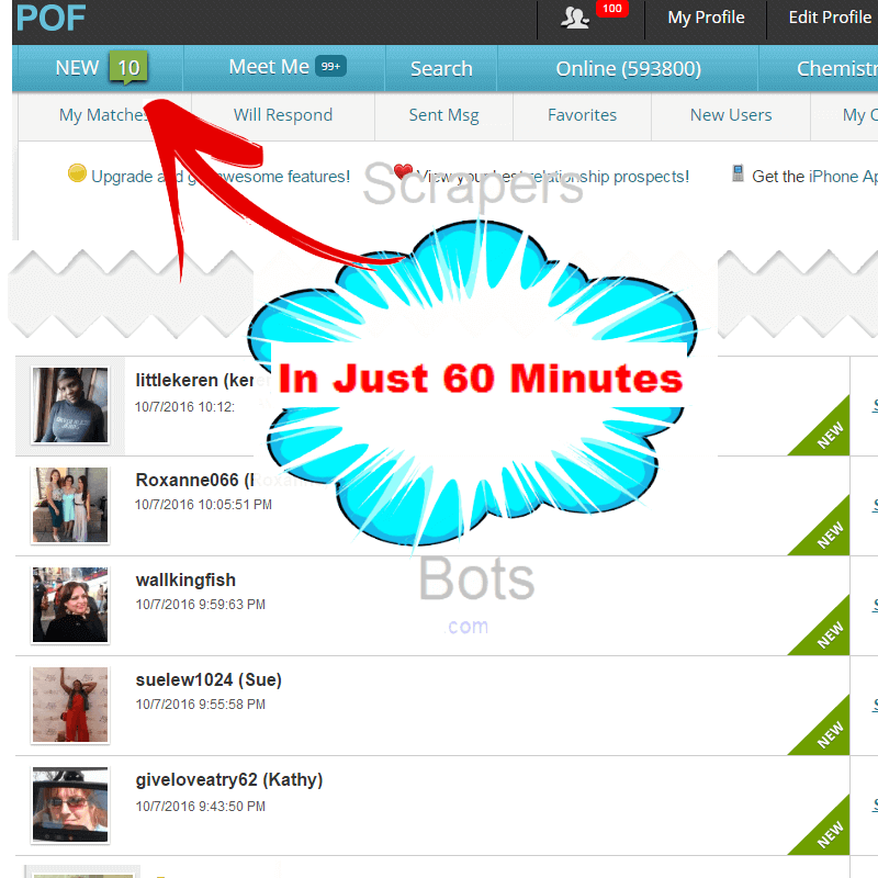 POF Auto Message Sender software program gets 5 additional Plenty Of Fish E-mails (ten E-mails in all) after another thirty minutes.