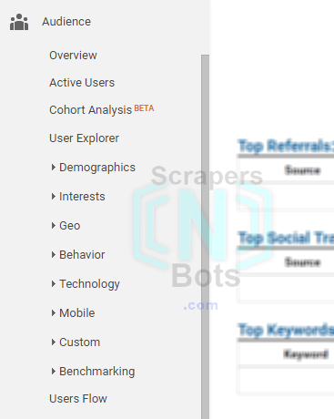 Google Analytics Audience Tab.