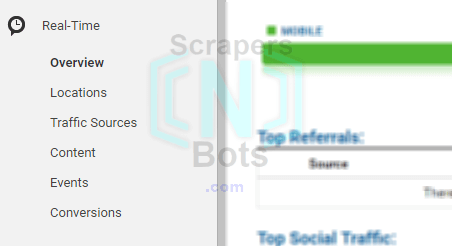 Google Analytics Real Time Visitors Tab.