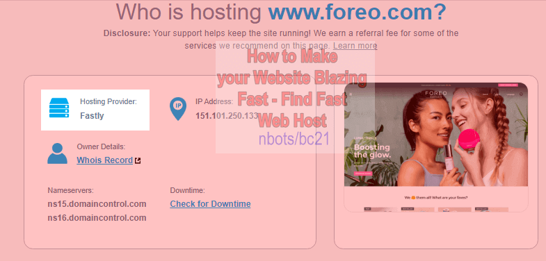 Image of results from the whoishostingthis.com website.