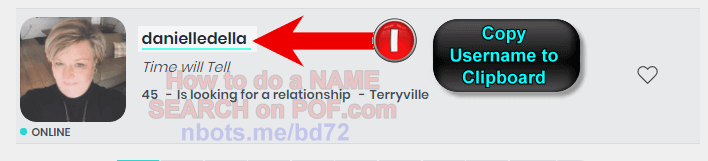 Image of How To Do Name Search POF ➀ Copy Username To Clipboard.