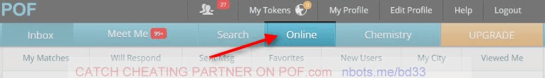Image of Catch Cheater POF Online Now Button.