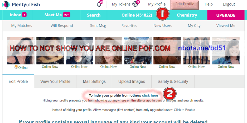 Image of How To Not Show Youre Online On Pof Edit Profile Click Hide Profile From Others.