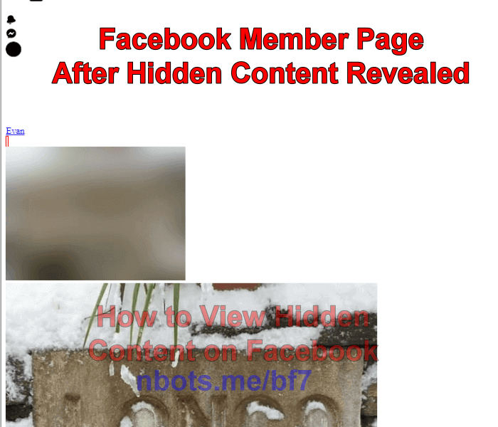 Image of How To View Hidden Facebook Content Member Page After Hidden Content Revealed.