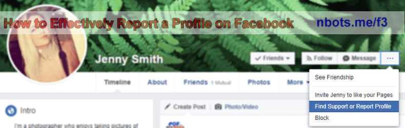 Image of How To Effectively Report Facebook Profile Click Ellipse Dropdown.