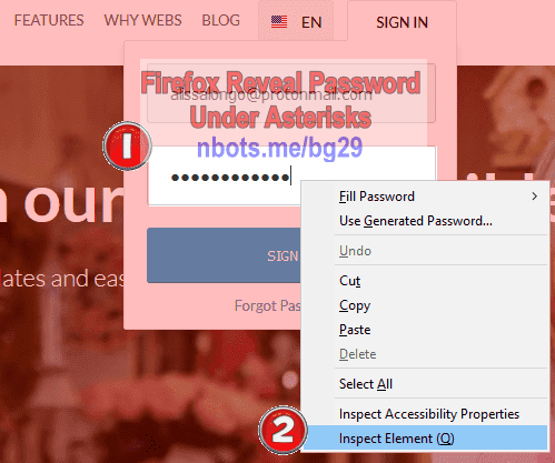 Image of Firefox Reveal Password Asterisk Right Click Password Box Click Inspect Element Menu Item.