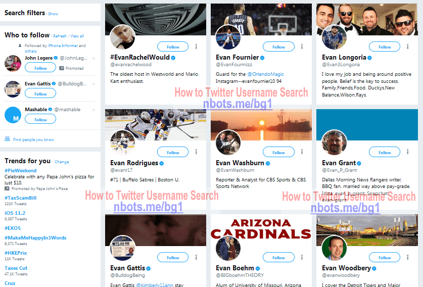 Image of Twitter Username Search Result.