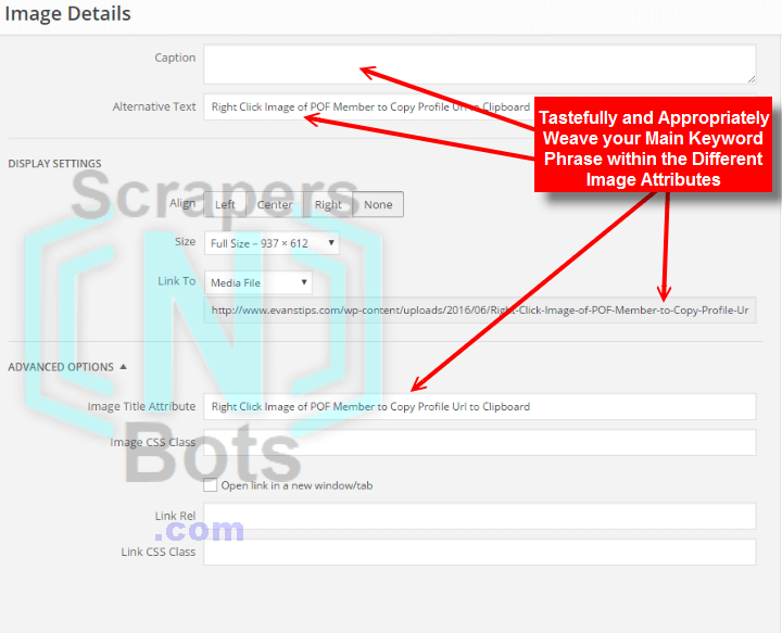 How and where to edit/insert text for image alt, title and caption attributes, for SEO, in Wordpress.