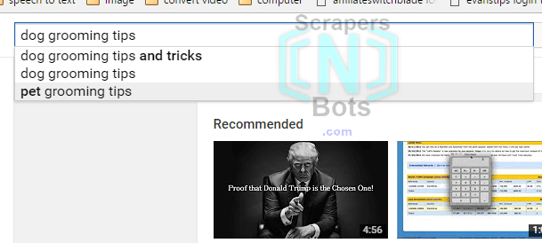 Image of Instantly Find Out How Many Searches Youtube Search Dropdown Box Auto Suggest.