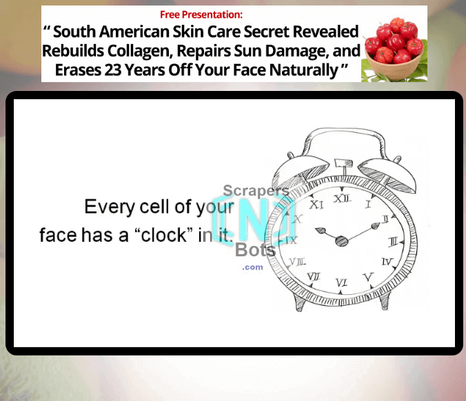 Beauty Food Bible Tracey Patterson Website.
