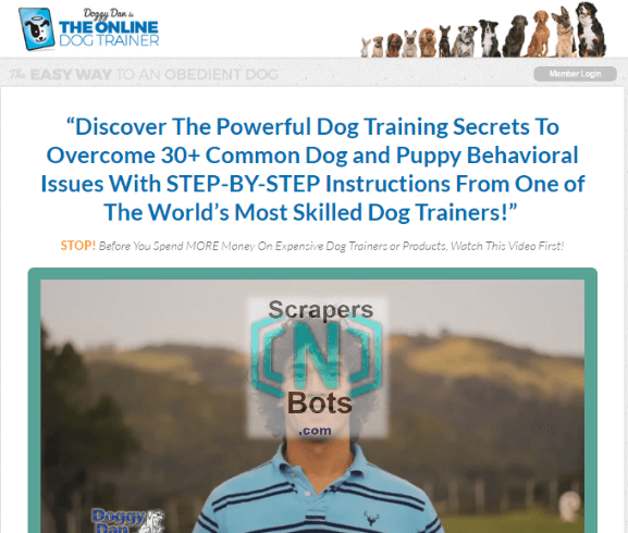 Doggy Dans Online Dog Trainer Dan Adelnoor Website.