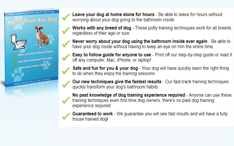 Image of House Train Any Dog E-book Plus Table Of Contents.