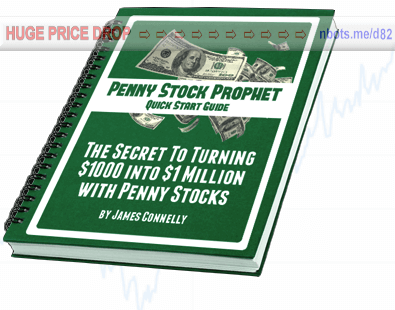 Image of Penny Stock Prophet Ebook.