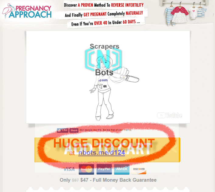 Pregnancy Approach Lauren Lee Website.