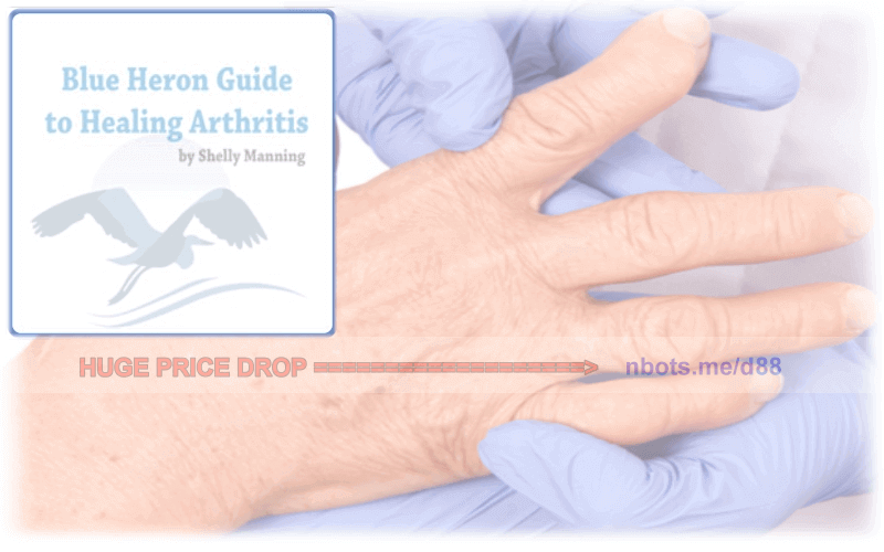 Image of The Arthritis Step by Step Strategy Blue Heron Guide.