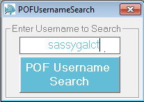 Image of POF Username Search software after typing or copying and pasting a username to search.