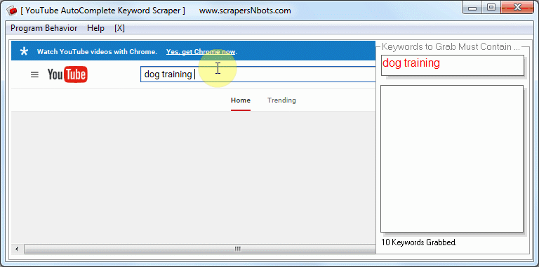 Animation Image of YouTube AutoComplete Keyword Scraper software main screen showing software scraping keyword phrases from YouTube.com.